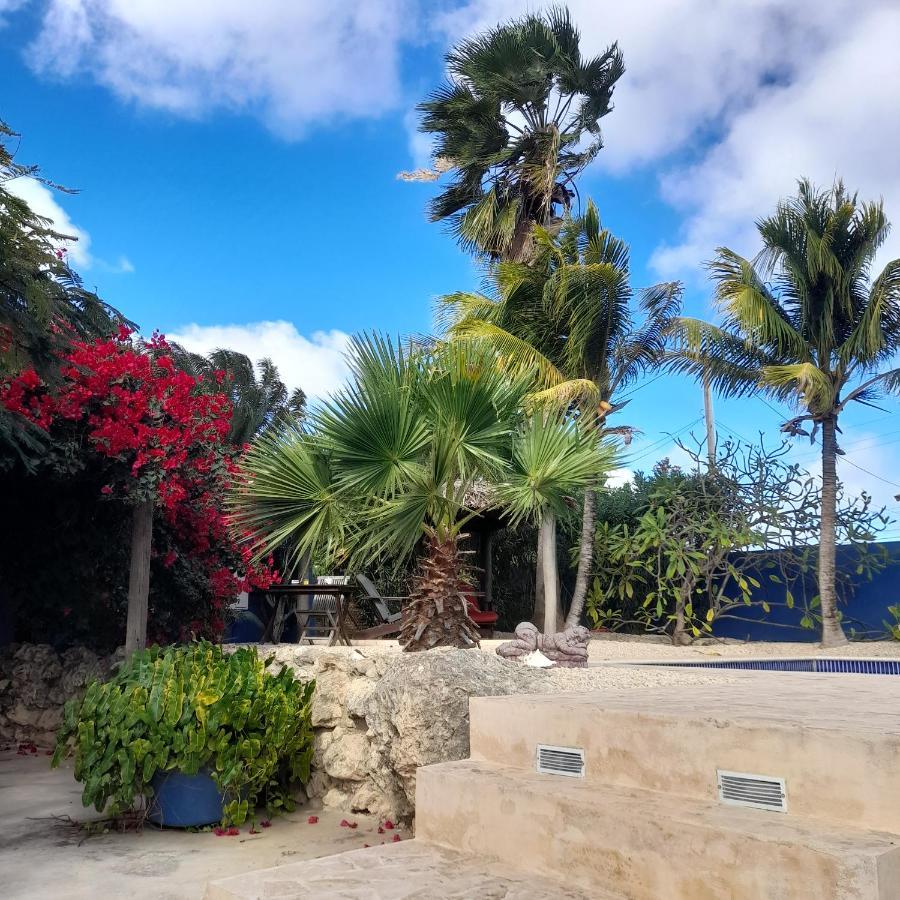 Caribbean Chillout Apartments Playa Exterior photo