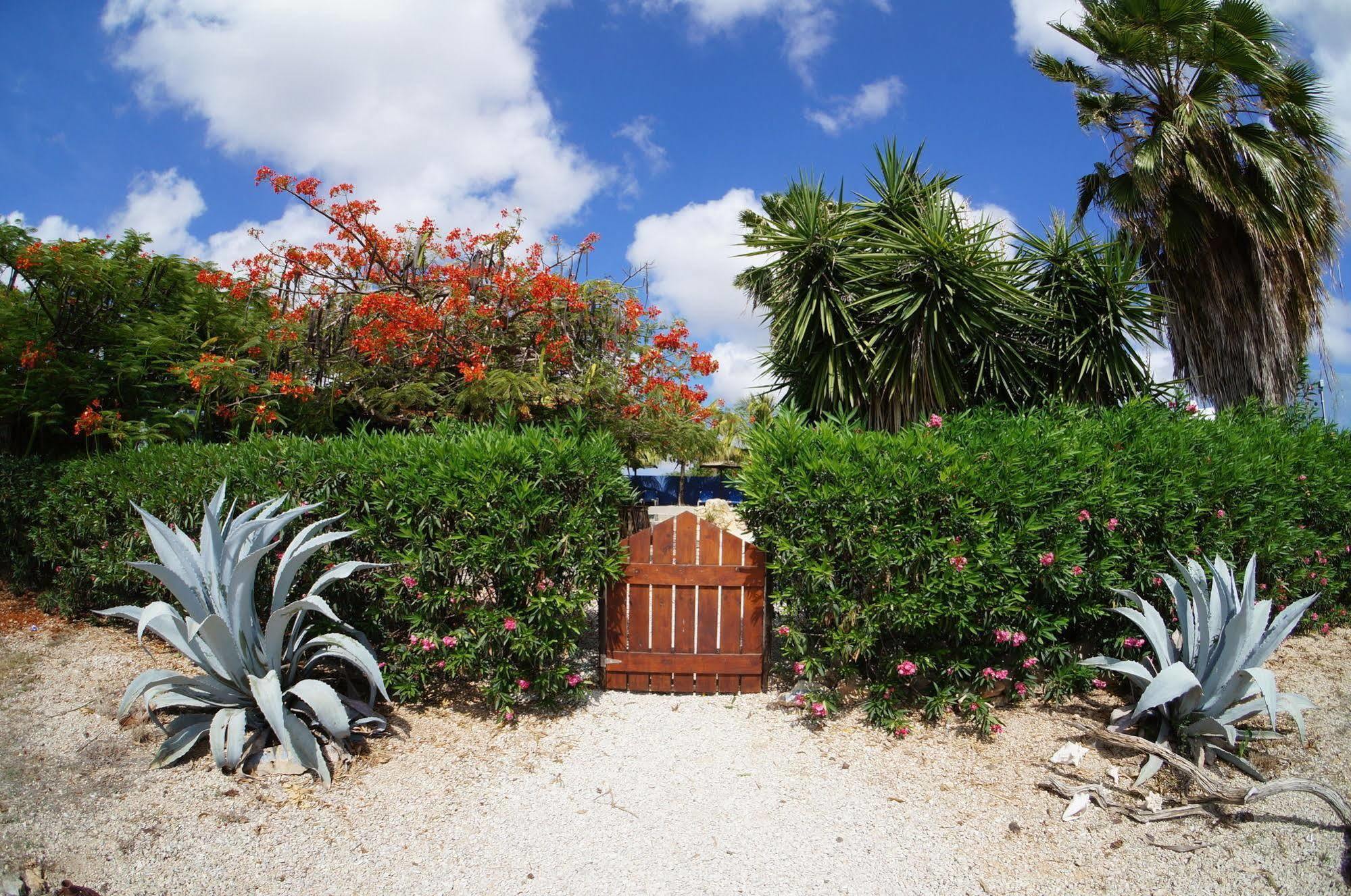 Caribbean Chillout Apartments Playa Exterior photo
