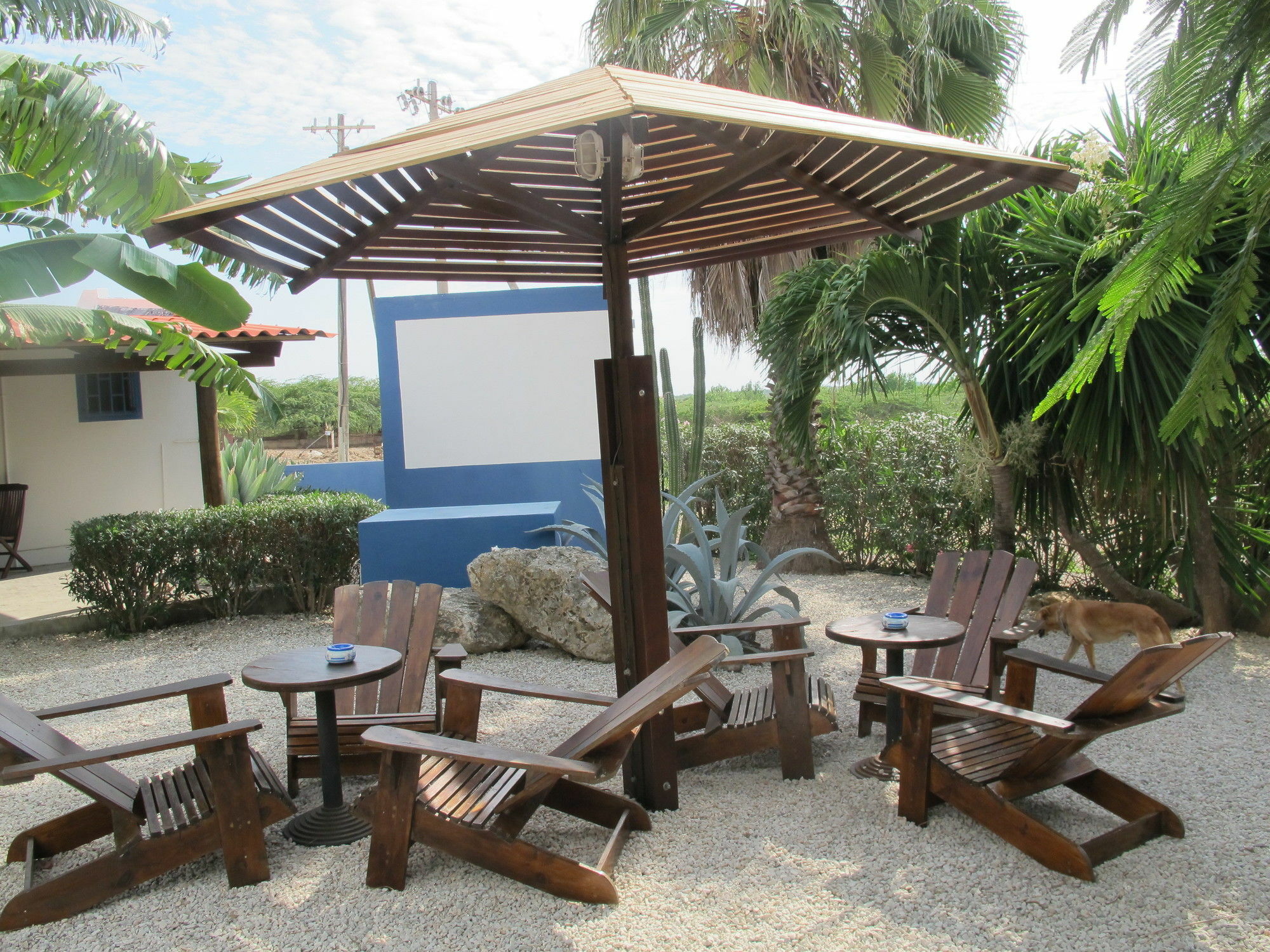 Caribbean Chillout Apartments Playa Exterior photo