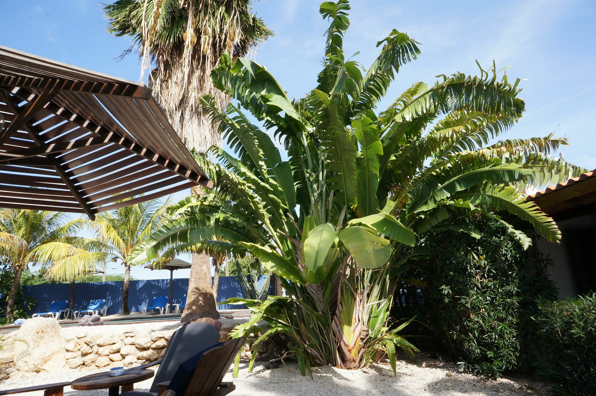 Caribbean Chillout Apartments Playa Exterior photo